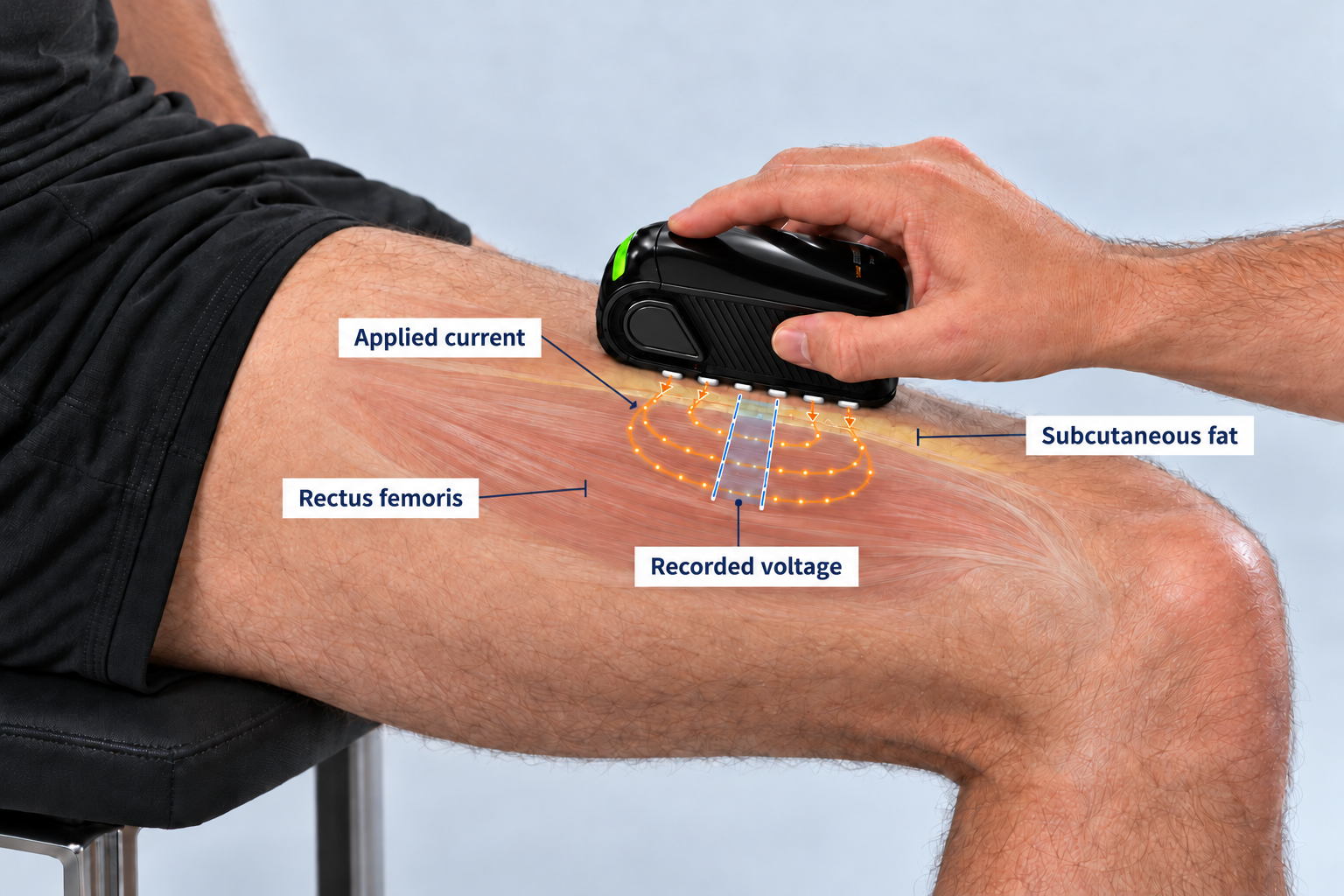 clear-black-mscan-on-thigh-diagram
